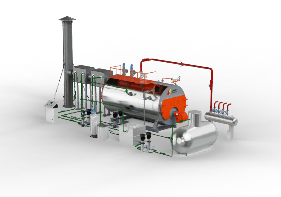 WNS GAS STEAM BOILER WORKING SITE  