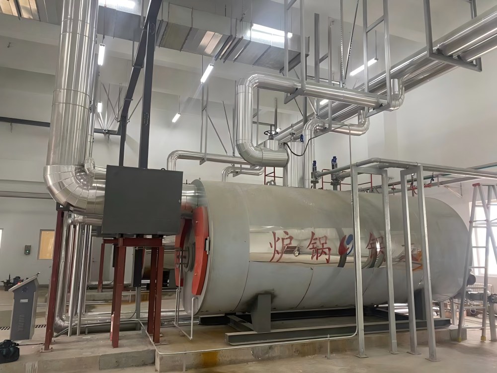 6t steam boiler for food factory  