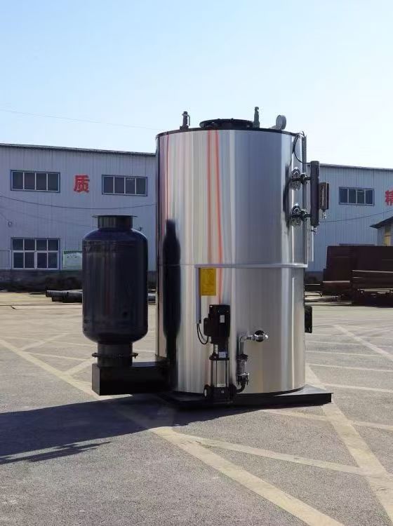 gas steam generator