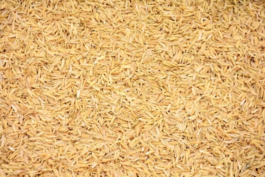 rice husk  