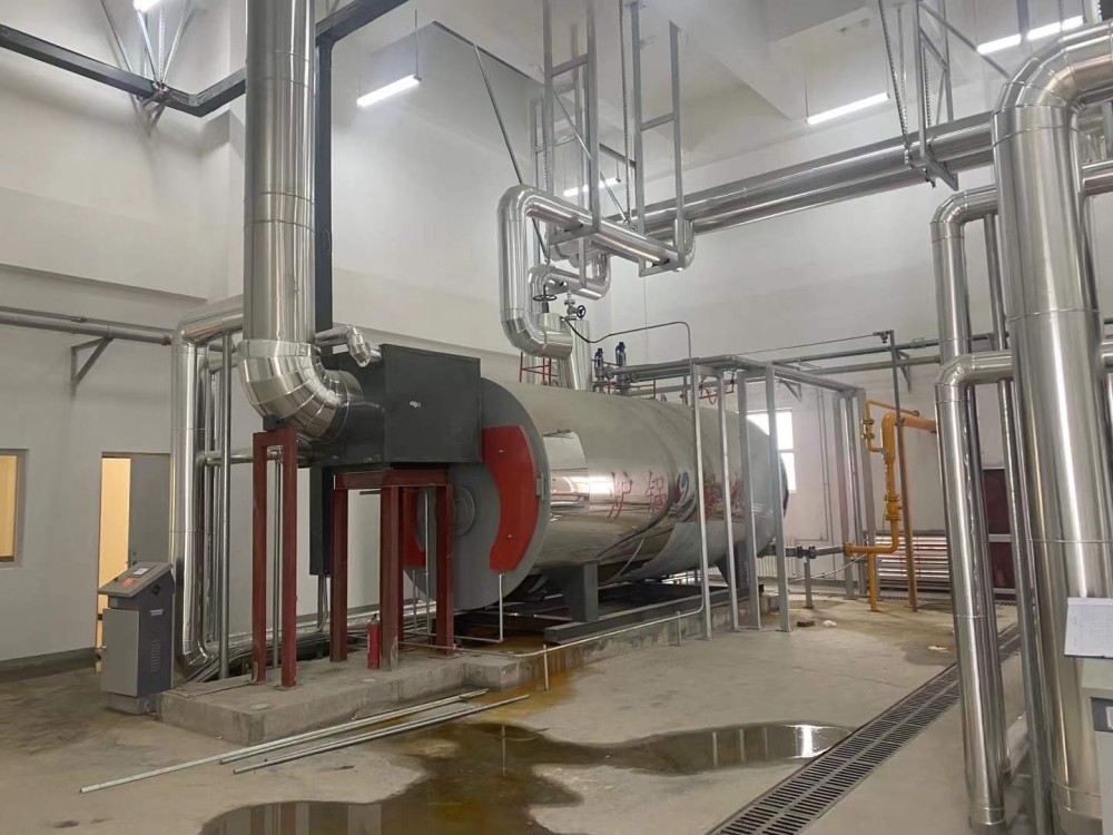 4 Ton WNS Gas Steam Boiler for Garment Factory in Indonesia