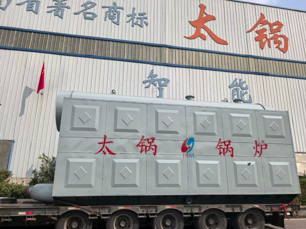 Biomass Boiler for Palm Oil Factory in Africa  DZL 8 BIOMASS STEAM BOILER  