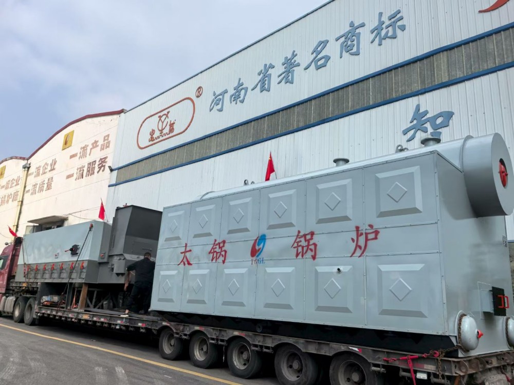 DZL BIOMASS FIRED STEAM BOILER
